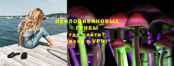 сатива Няндома