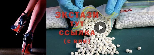 сатива Няндома
