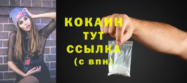 сатива Няндома