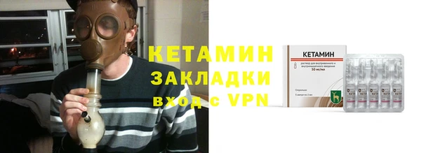 сатива Няндома