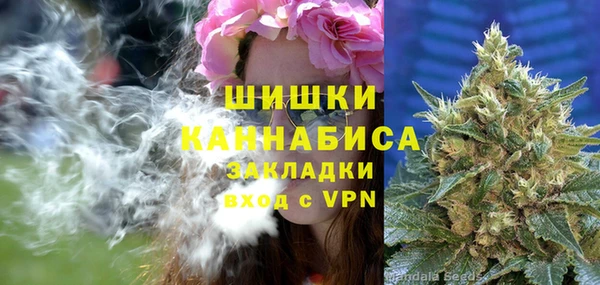 сатива Няндома