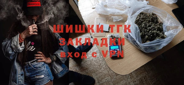 сатива Няндома