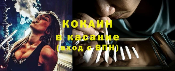 сатива Няндома