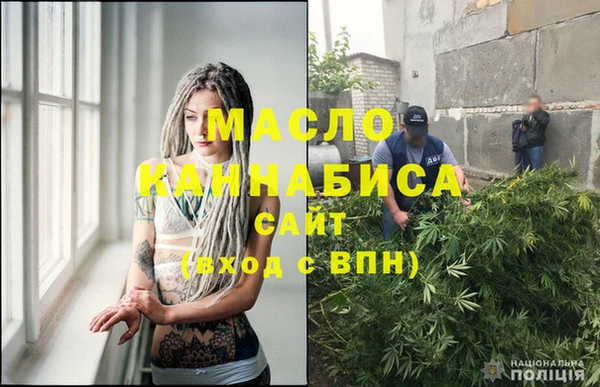 сатива Няндома