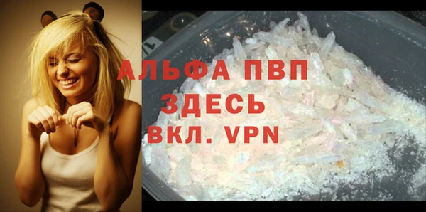 сатива Няндома